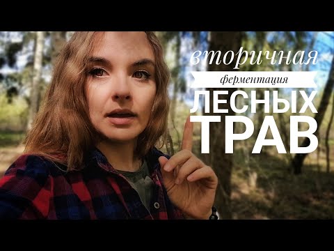 Видео: Вторичная ферментация лесных трав: делаем полезный летний сильногазированный напиток