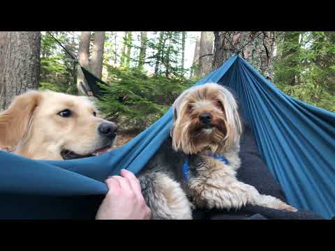 Видео: Къмпинг в местност Здравец /Camping Outdoor Location Zdravets