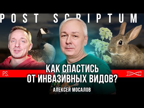 Видео: Как бороться с инвазивными видами? | Алексей Мосалов