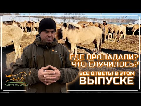 Видео: Хозяйство Идиятуллина/ Много работы при подготовки к весне/ В хозяйстве новое приобретение