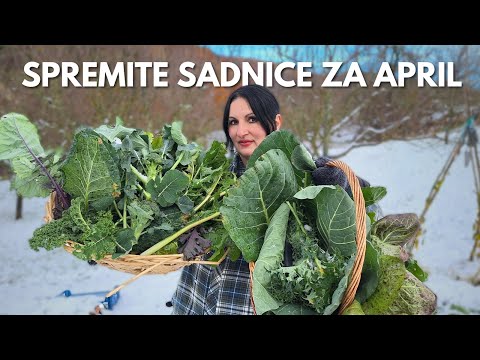 Видео: ДЕКАБРЬСКИЙ РАССАДНИК - Организация Количества Рассады