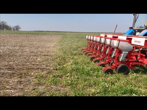 Видео: Посев подсолнечника по покровным культурам