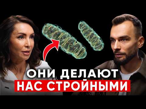 Видео: Тело само начнет сжигать жировые клетки! Как быстро похудеть по науке? Эндокринолог Диляра Лебедева
