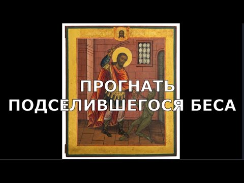 Видео: ПРОГНАТЬ ПОДСЕЛИВШЕГОСЯ БЕСА. ОТЧИТКА