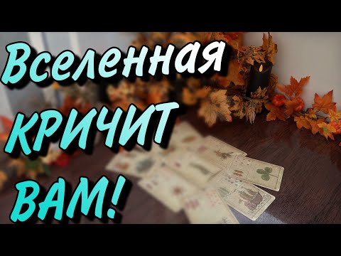 Видео: ‼️ВАЖНО УСЛЫШАТЬ✨Вселенная дает ВАЖНЫЙ ЗНАК✨