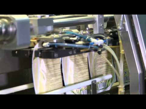 Видео: «Дархан дала». Қордай ауданы