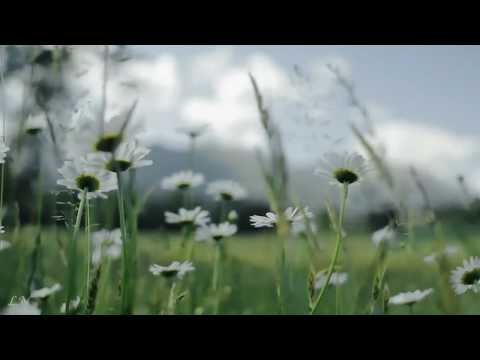 Видео: П.И. Чайковский - «Июнь Баркарола» - Tchaikovsky - The Seasons – «Barcarolle  June»