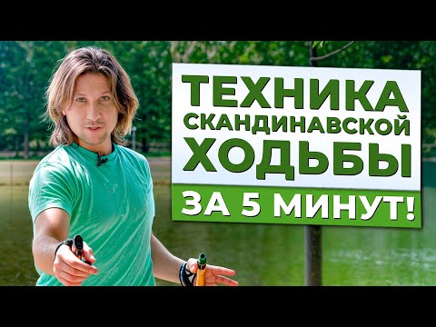 Видео: СКАНДИНАВСКАЯ ходьба — ключ к ЗДОРОВЬЮ! / Как правильно ХОДИТЬ с палками?