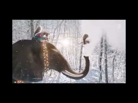 Видео: Новогодние Заставки Первого Канала #7-#11 (2024-2025 Слоны И Белки)