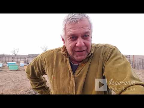 Видео: Пасека перезимовала 100%. Как мне это удалось.