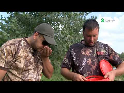 Видео: Шарани на яз.Бистрица-БЕЗДЕН (част 4)