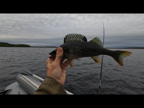Видео: Северная Карелия. Рыбалка в глуши. Часть первая.