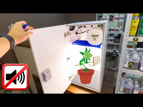 Видео: Мини Гроубокс для дома | Стелс Quantum Board