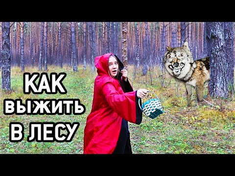 Видео: Лайфхаки Как Выжить В Лесу