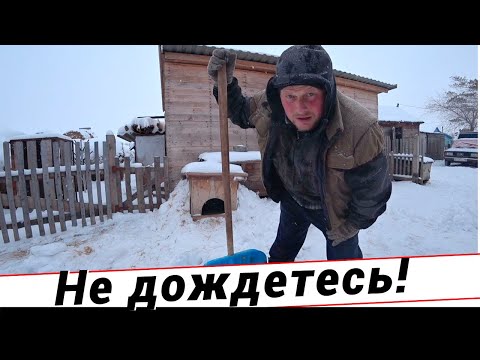Видео: Живность пожирает корма как саранча. Рулоны переворачиваем лебёдкой. Жизнь в деревне за неделю.