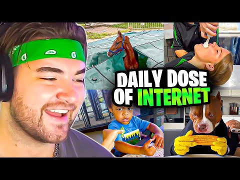 Видео: ЛУЧШИЕ ВИДЕО СО ВСЕГО ИНТЕРНЕТА!! | Реакция KingWoolz