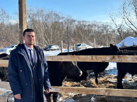 Видео: Как юрист стал фермером