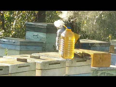 Видео: Скоро зима.