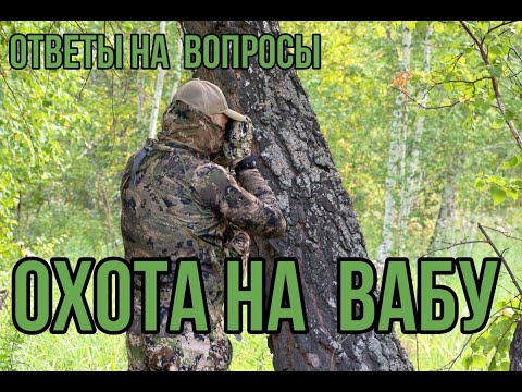 Видео: Охота на манок. Ответы  на вопросы.