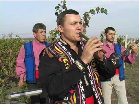 Видео: Пётр Петкович - ШАРАПЧИК