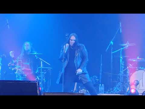 Видео: КУКРЫНИКСЫ. Фаворит солнца