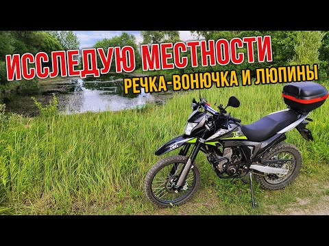 Видео: Исследую местности. Ищу люпиновое поле