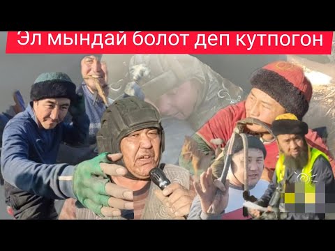 Видео: Кайрагачта улак Эл мындайды кутпогон