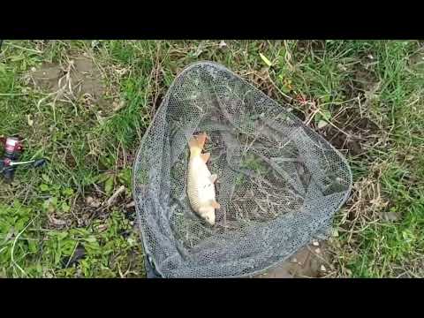 Видео: Рыбалка, Ставропольский край (КМВ), Лесные озёра : второе малое озеро. Карп на кукурузу...