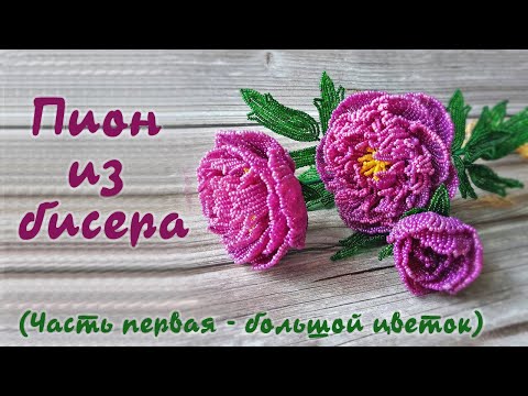 Видео: ПИОН из БИСЕРА - мастер класс, урок 1/3