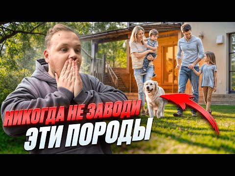 Видео: НИКОГДА НЕ ЗАВОДИ ЭТИ ПОРОДЫ ЕСЛИ У ВАС ЕСТЬ РЕБЕНОК!