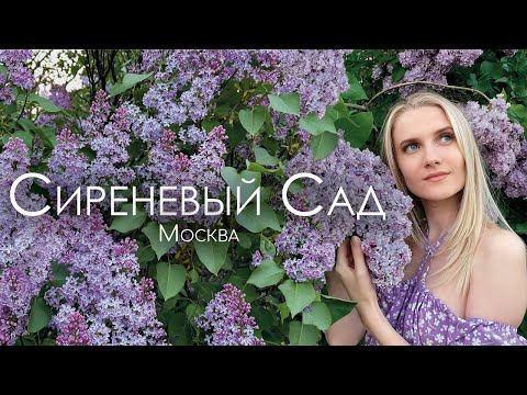 Видео: Сиреневый сад в Москве. Обзор самого большого парка сирени.