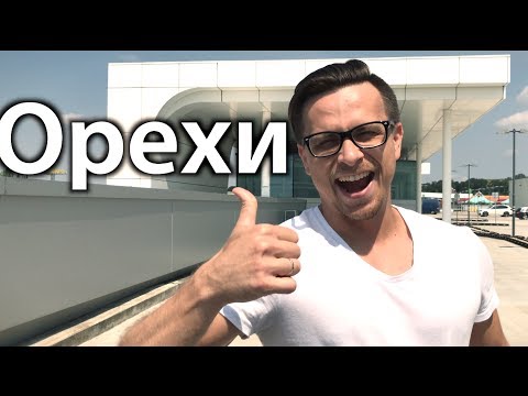 Видео: Орехи и Семена