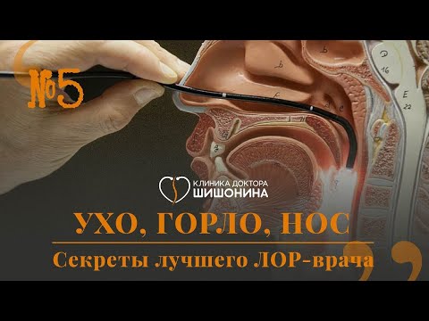 Видео: Подкаст: Секреты лучшего ЛОР врача! Ухо, горло, нос. Встреча доктора Шишонина и М. Г. Лейзерман