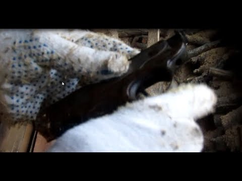 Видео: Нашли непонятный пистолет в заброшенном доме.