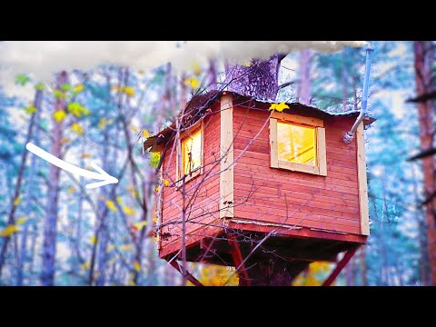 Видео: ПОСТРОИЛ ЛУЧШИЙ ДОМ НА ДЕРЕВЕ! | 3 месяца за 40 минут