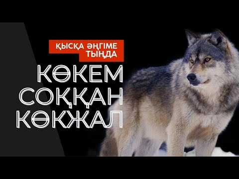 Видео: КӨКЕМ СОҚҚАН КӨКЖАЛ. Деректі әңгіме. #аудиокітап #қысқаәңгіме