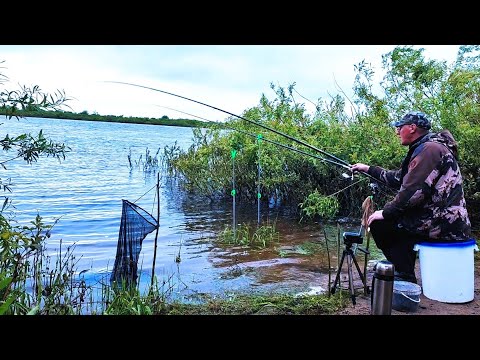 Видео: Закинул ПОПЛАВОК под куст, а он ждал меня там! Майская рыбалка!