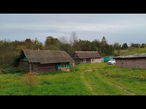 Видео: ЗЎР Арзон Уй 30 соток 50м²  ЯХШИ РУС ҚЎШНИЛАР, Табиат