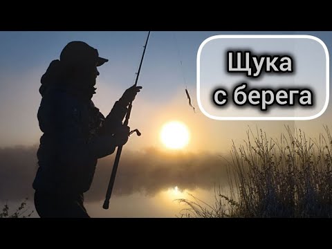 Видео: Ловля спиннингом на реке Березина. Щука на бигбейты в мае