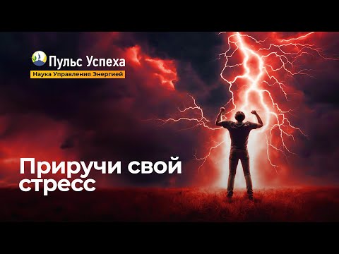 Видео: Что делать, когда высокий уровень стресса?