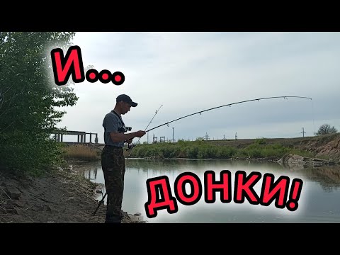 Видео: Неожиданно так нарвались на отличных рыб.