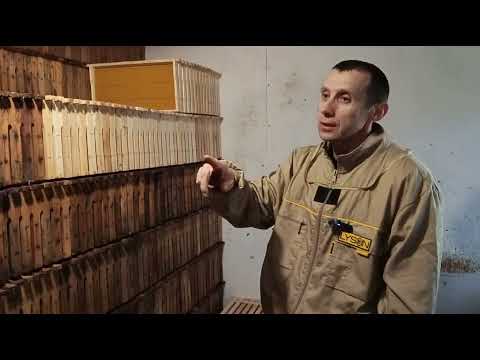 Видео: Хранение рамок с вощиной