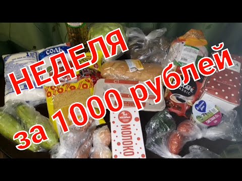 Видео: КАК ПРОЖИТЬ НЕДЕЛЮ ЗА 1000 РУБЛЕЙ В 2024 ГОДУ