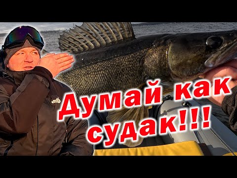 Видео: "СУДАК ЗАСТОЛЬНЫЙ" !!!ИДЕАЛЬНЫЕ УСЛОВИЯ ДЛЯ ЛОВЛИ СУДАКА!!!
