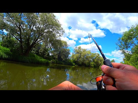 Видео: ЭТА РЫБИНА КЛЮНУЛА НА МАЛЕНЬКИЙ КРЭНК. СОВЕРШИЛ ОШИБКУ. Рыбалка на спиннинг.