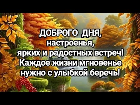 Видео: ДОБРОГО ДНЯ, настроенья, ярких и радостных встреч! Каждое жизни мгновенье нужно с улыбкой беречь!