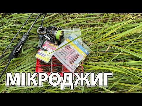 Видео: МІКРОДЖИГ Рибалка в очереті ловля окуня літом на силікон