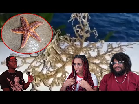 Видео: Casual Geographic: Пришельцы, о которых ДЕЙСТВИТЕЛЬНО стоит беспокоиться!