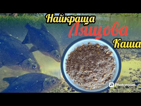 Видео: Найкраща каша на ЛЯЩА🐟, Як правильно зварити горох 🇺🇦 . #fishing #рибалка #прикормка