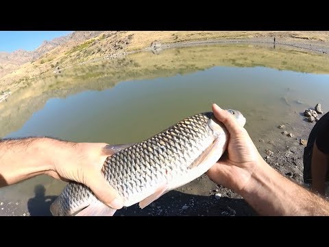 Видео: Первый Спиннинговый Турнир в Армении / The First Lure Fishing Tournament In Armenia